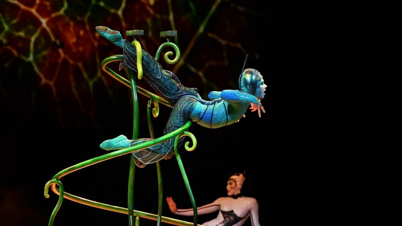 Cirque Du Soleil no Brasil em 2024 Ingressos para os Espetáculos HPG