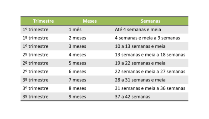 Tabela Para Converter Semanas Em Meses Hpg 